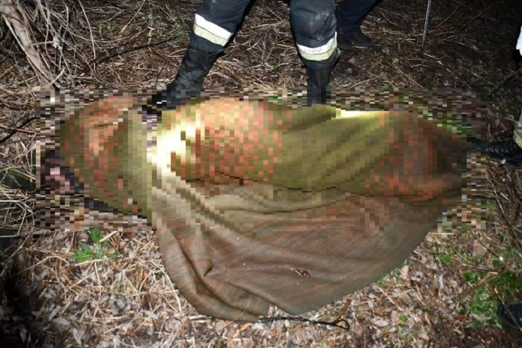 Труп у килимі на Новий рік: на Харківщині знайшовся посібник убивці