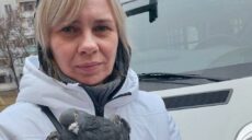 Спецоперацію з порятунку голуба провели на Північній Салтівці (відео)