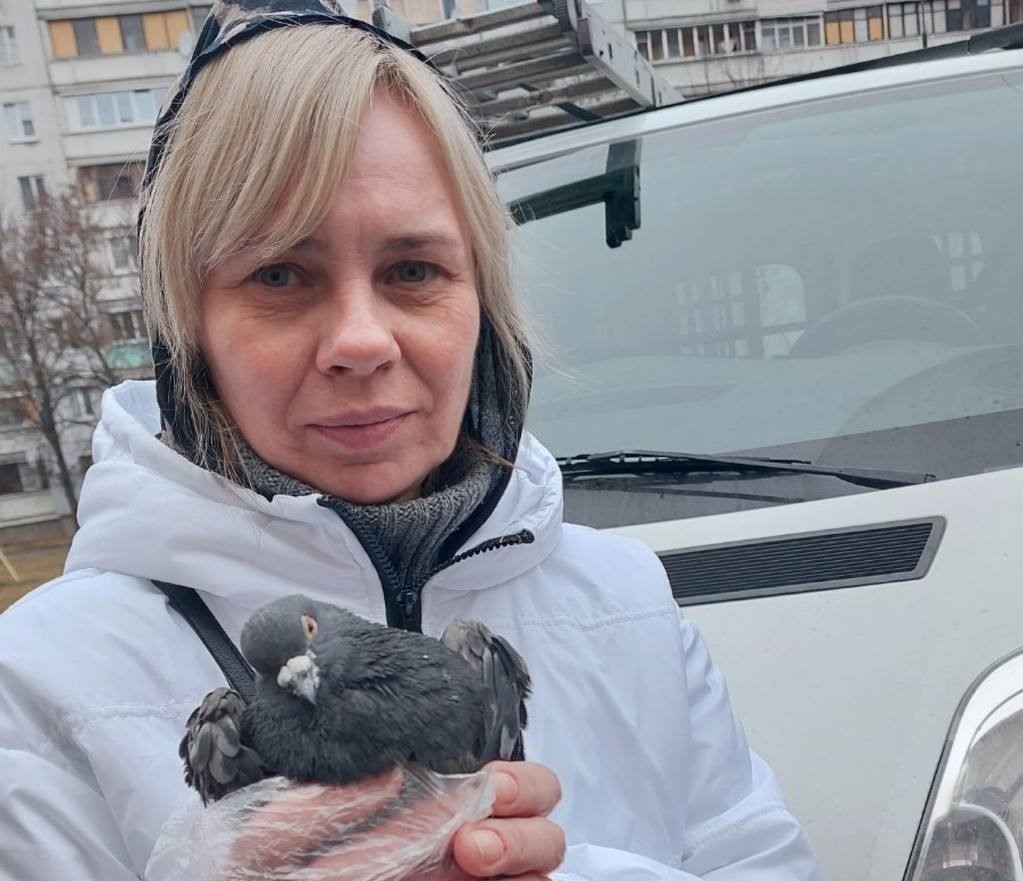 Спецоперацию по спасению голубя провели на Северной Салтовке (видео)