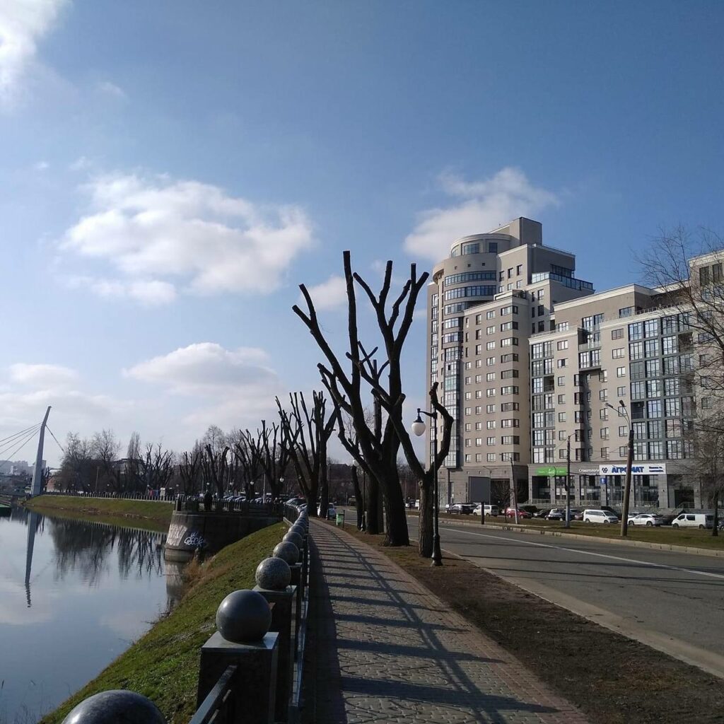 Обрізка дерев “під стовп” у Харкові: активістка пояснила, чим це шкідливо