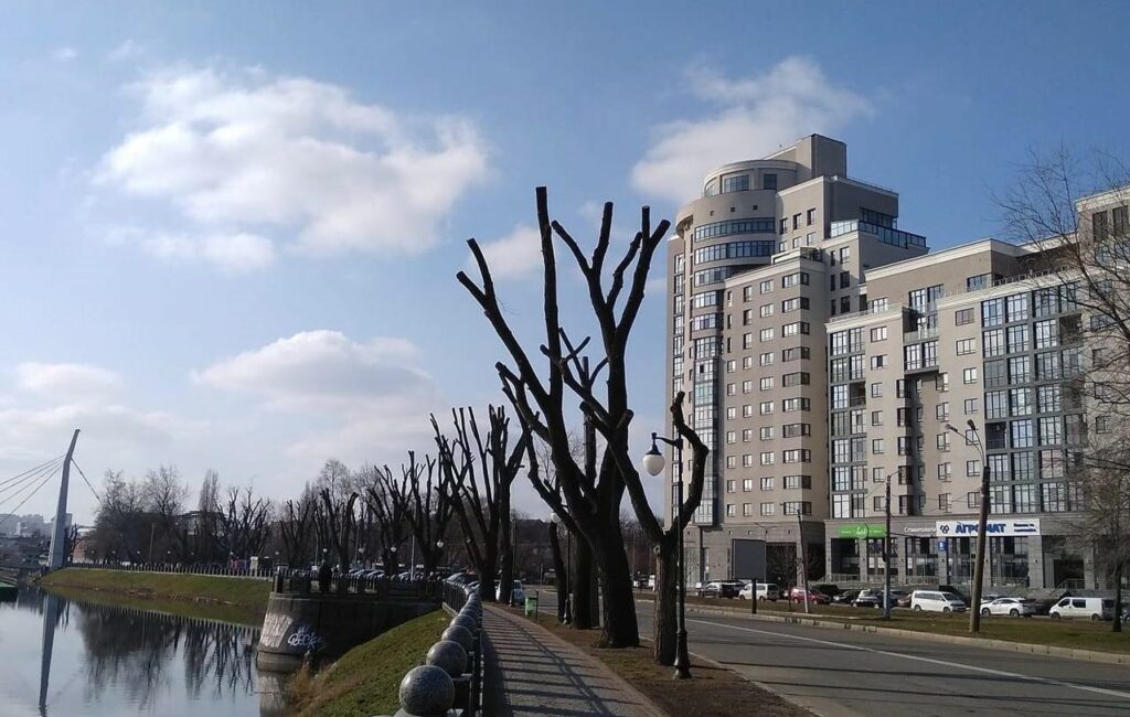 Радикальная обрезка деревьев «под столб» в Харькове: объяснение коммунальщиков
