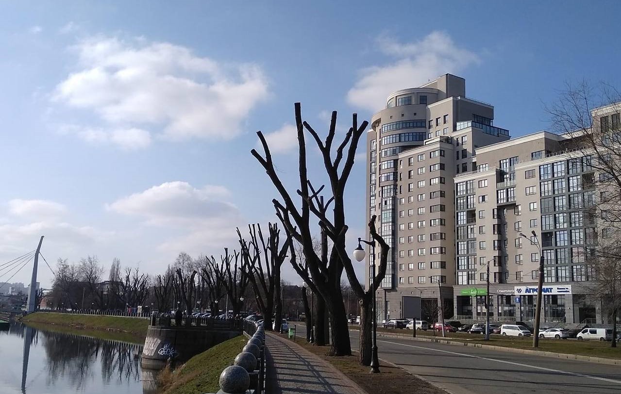 Радикальна обрізка дерев “під стовп” у Харкові: пояснення комунальників