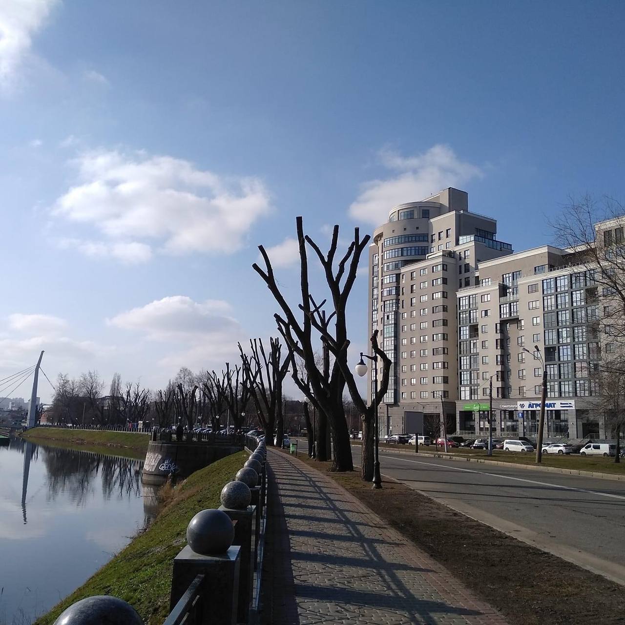 Обрезка деревьев «под столб» в Харькове: активистка пояснила, чем это вредно