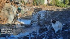 Удар С-300 по Харькову и атака БпЛА на Изюмщине: открыты производства (фото)