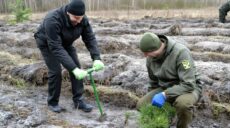 Де на Харківщині цієї весни висадять 1,2 мільйона дерев: інформація ХОВА