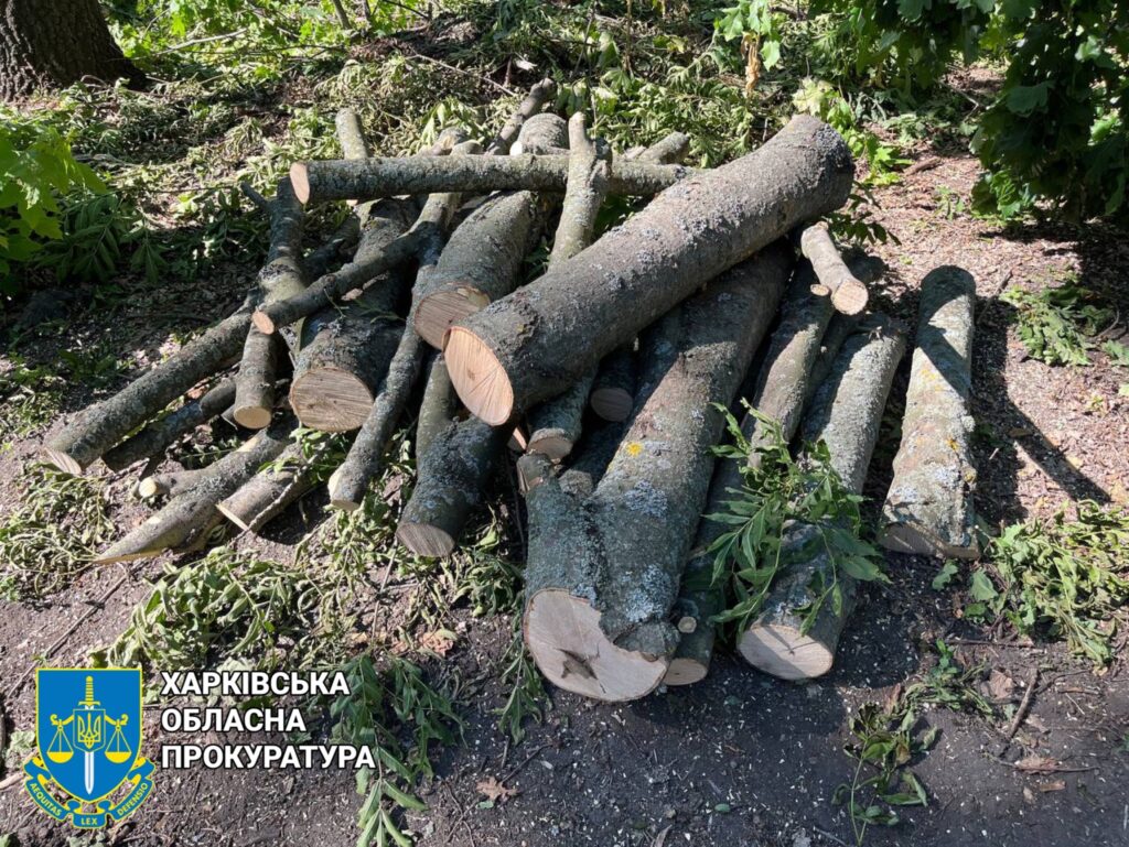 На Харківщині «чорні лісоруби» з Полтавщини нарубали дерев на 120 тис. грн