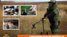 В Харківській області на городі чоловік підірвався на міні – ДСНС