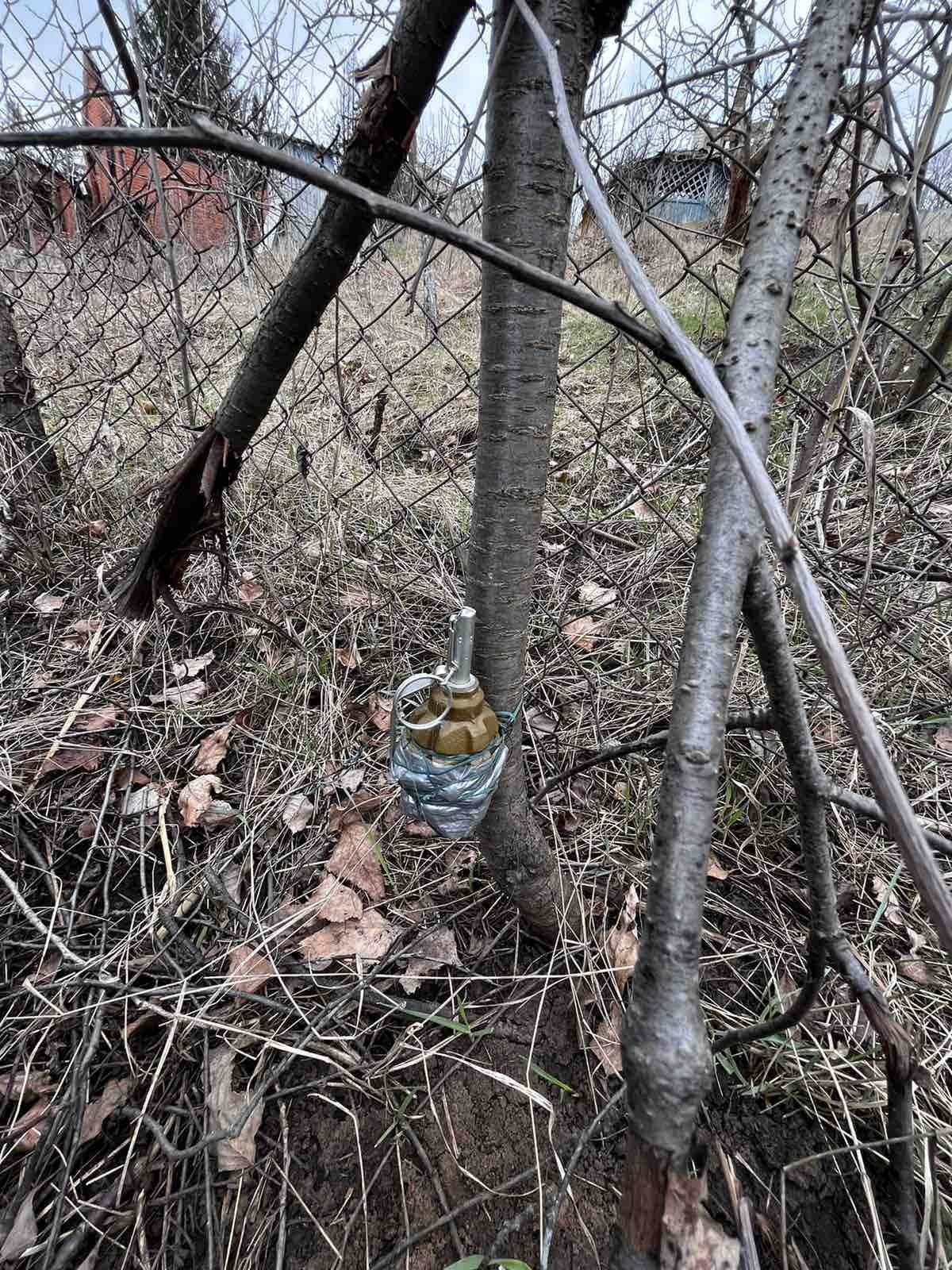 Заміновані дерева на Харківщині 2