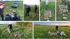 Погубили риби на сотні тисяч гривень: на Харківщині розгулялися браконьєри