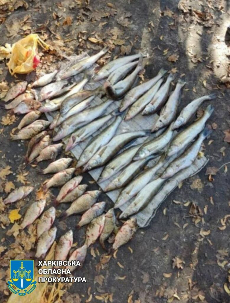 Наловил рыбы более чем на 100 тыс грн: на Харьковщине будут судить браконьера