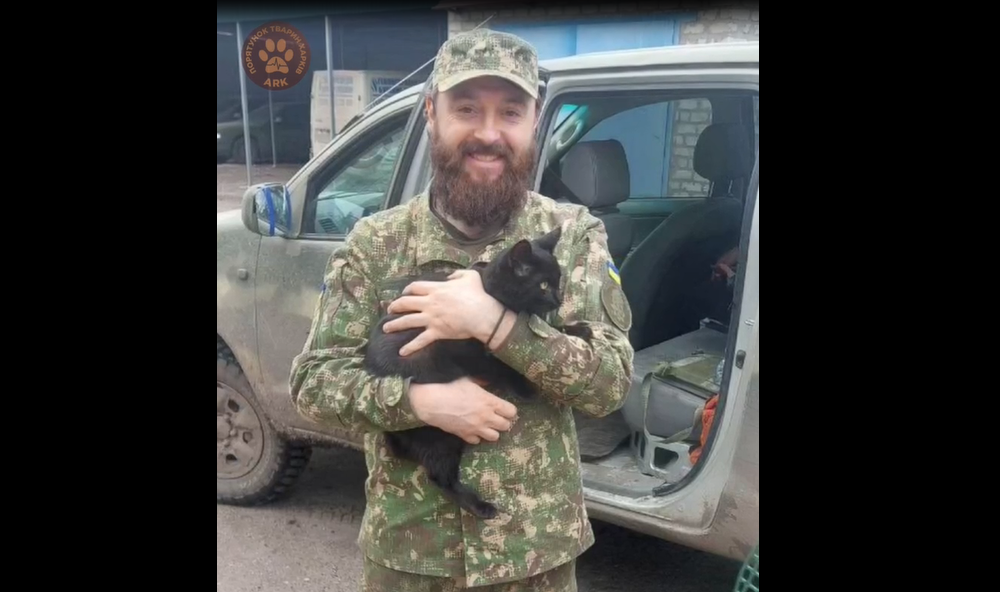 Захисник Кремінної, попри поранення, допоміг евакуювати в Харків кота (відео)