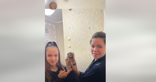 Єдиний, хто вижив: у Харкові із замкненого підвалу врятували кошеня (відео)