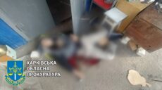 Харків’янин зарізав товариша по чарці на вулиці: прокуратура оскаржує вирок