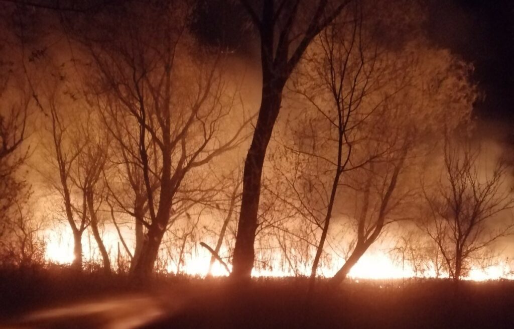 Поджигатели мусора обесточили 200 домов в собственном селе на Изюмщине (фото)