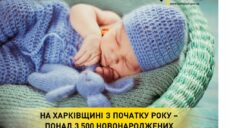 Как имена выбирали родители на Харьковщине в этом году для новорожденных