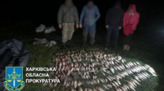 Наловил рыбы на полмиллиона: браконьер с Харьковщины заплатит штраф в 17 тысяч