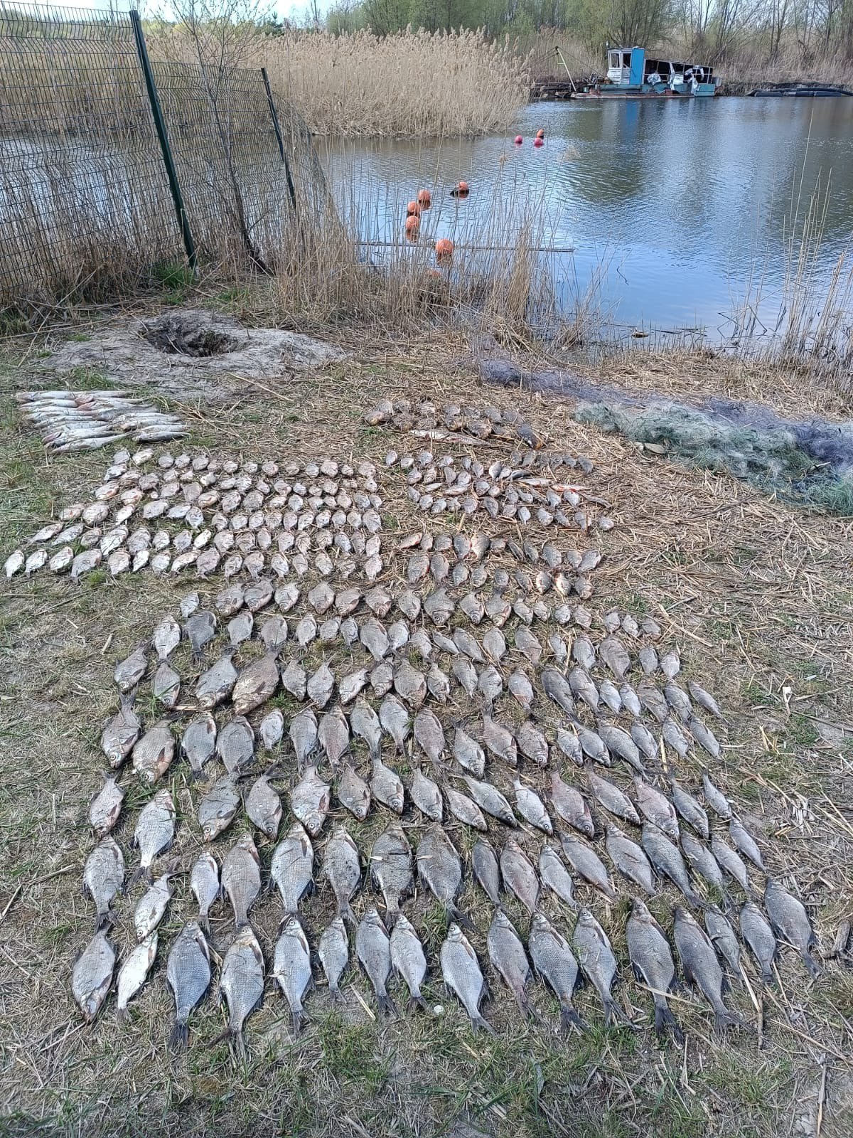Браконьеры выловили 300 рыбин в Северском Донце на Харьковщине