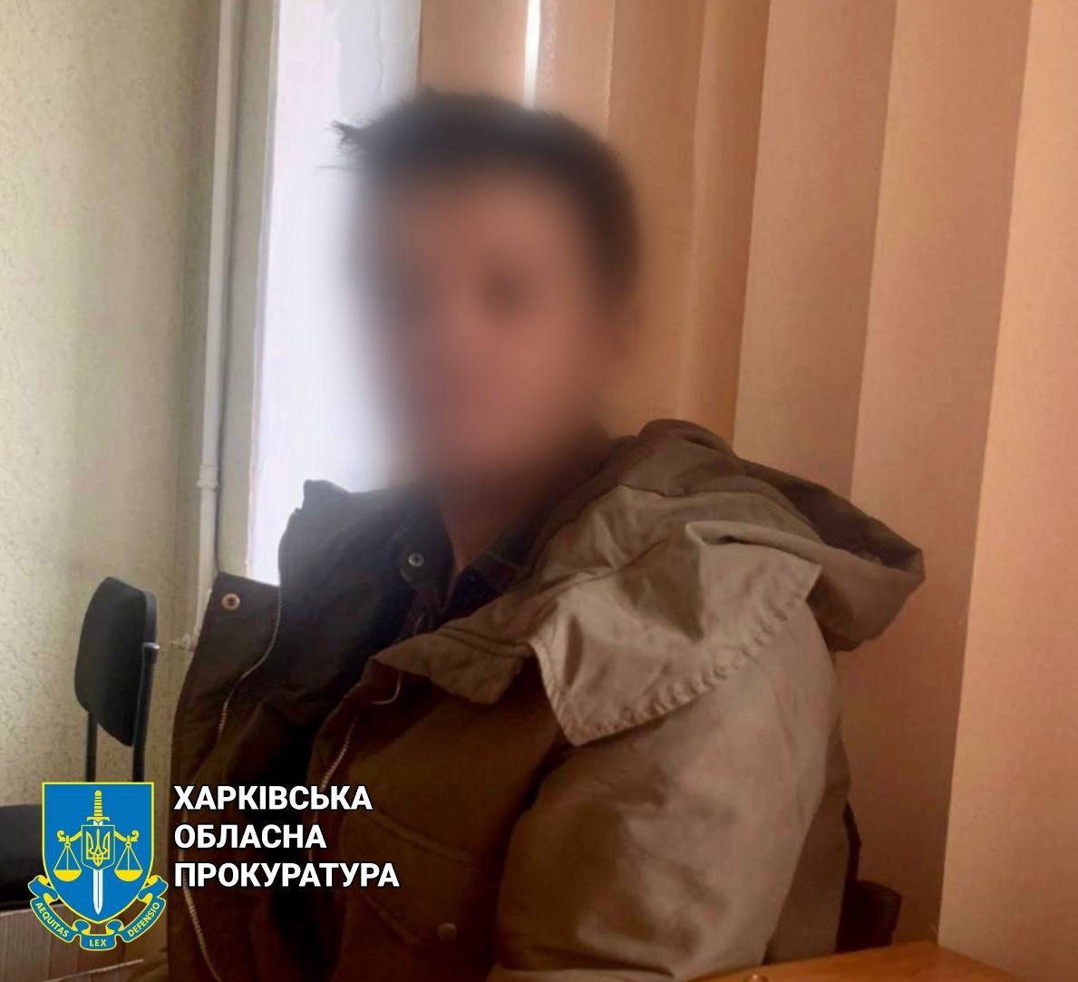 Жена гауляйтера сядет на 9 лет на Харьковщине