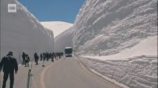 В Японии открыли гигантский снежный коридор для путешественников (видео)
