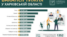Робота в Харкові та області: вакансії тижня із зарплатою до 30 тисяч гривень