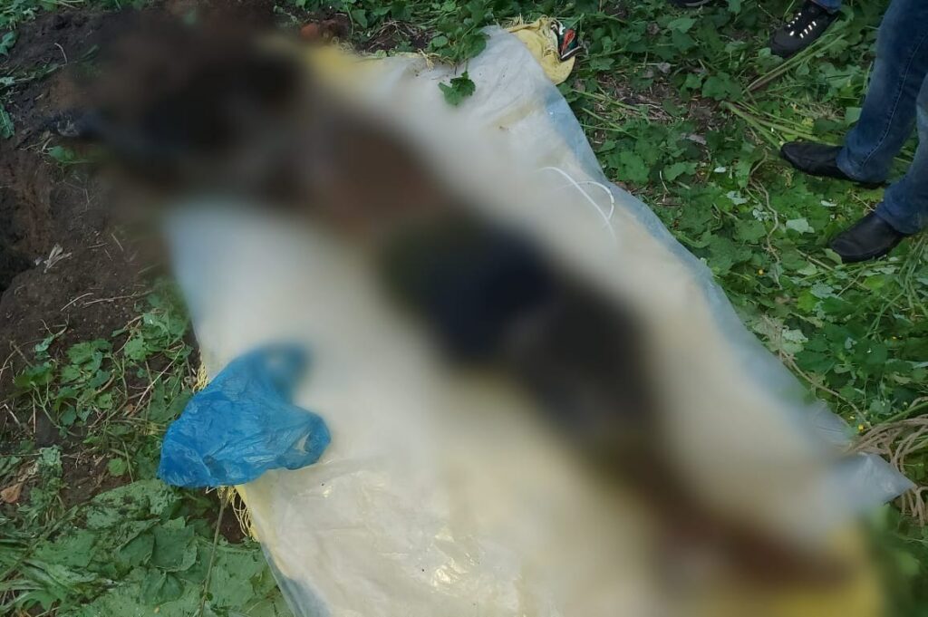 Житель Чугуевщины убил знакомого и выбросил тело в сливную яму (фото)