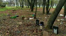 В Харькове в сквере обнаружили стихийное кладбище животных (фото)