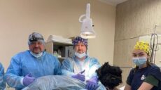 В Харькове поставили биоинтегрированный протез псу, пострадавшему от обстрелов
