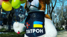 Громада на Харьковщине купит костюмы пса Патрона и куклы LOL — ХАЦ