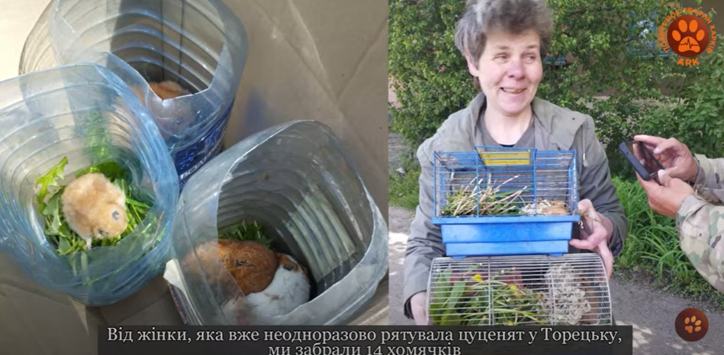 Харьковчане эвакуировали хомяков с прифронтовой Донеччины (видео)