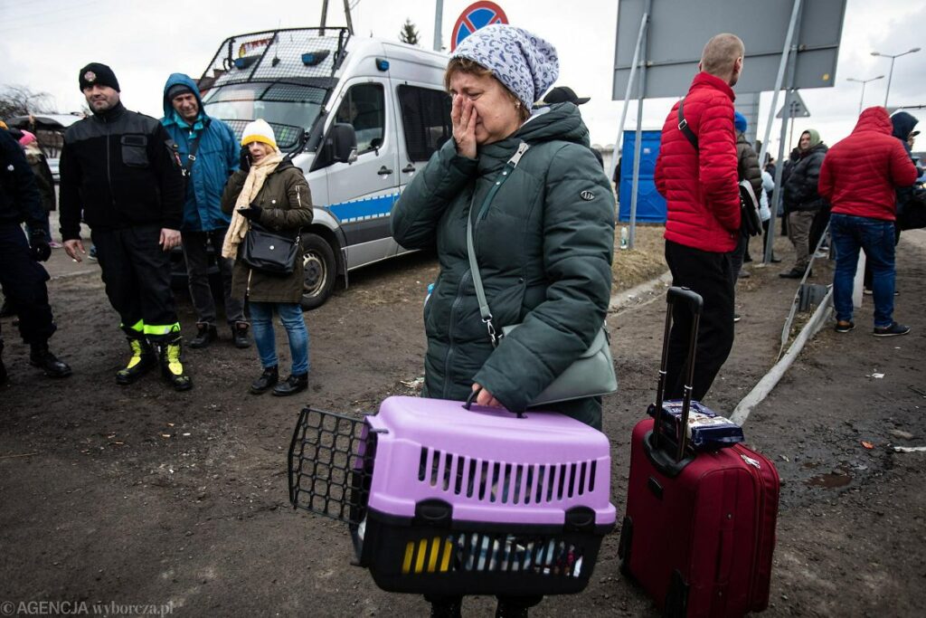 Число украинских беженцев, желающих вернуться домой, упало до 65% – ООН