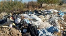 Харків’ян просять повідомляти про стихійні звалища