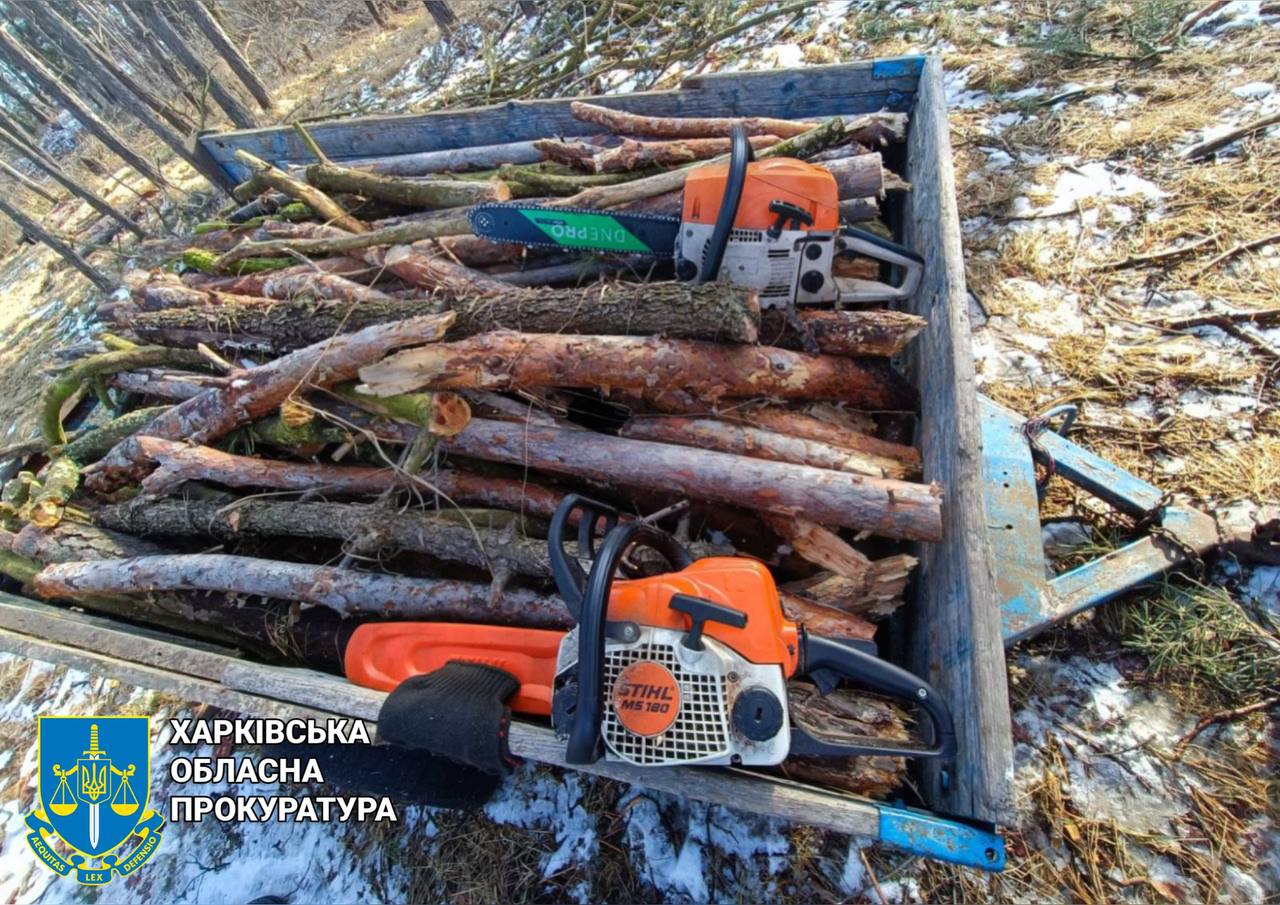 На Харьковщине поймали «черных лесорубов»: нарубили сосен на 500 тыс грн