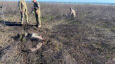Поліція показала поле на Ізюмщині, де підірвалися та загинули двоє чоловіків