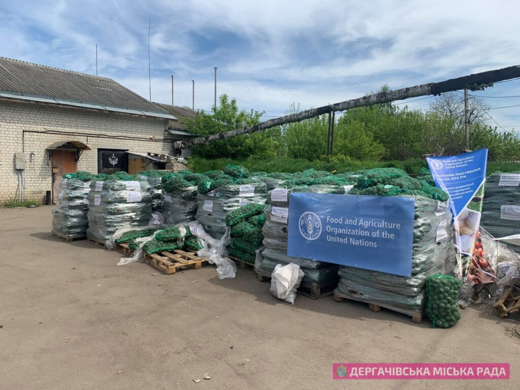 Під Харковом безкоштовно видаватимуть картоплю