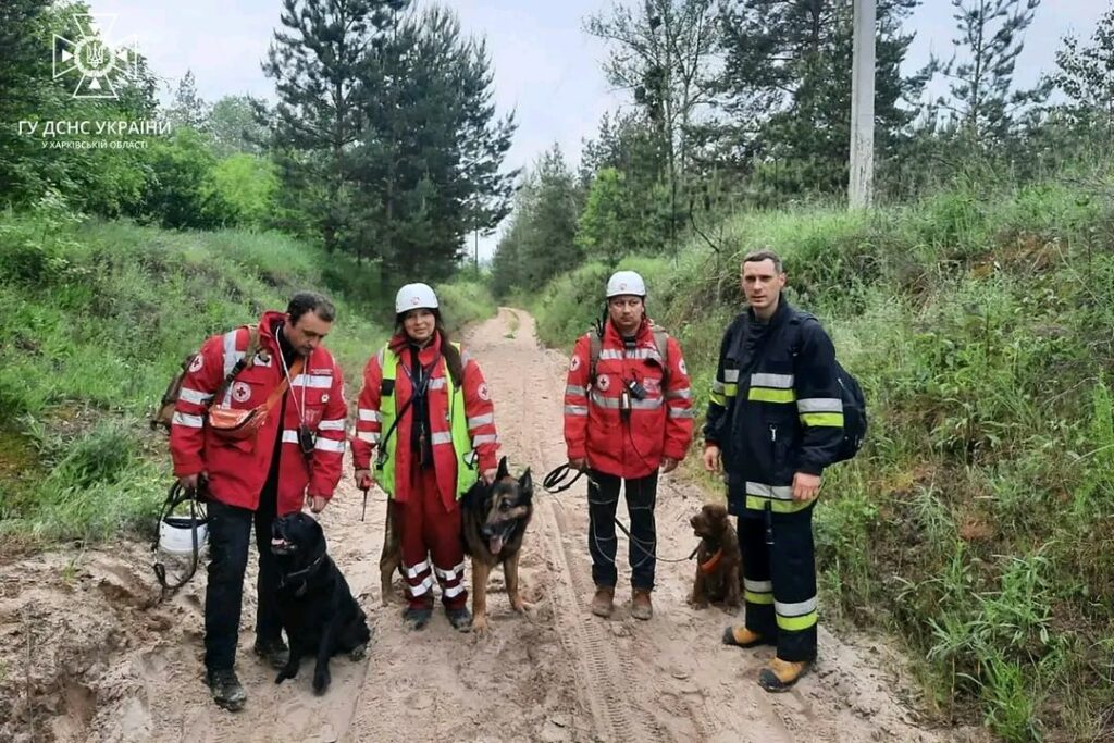 Зниклу дитину на Харківщині шукає сотня людей: дівчинка може бути в лісі