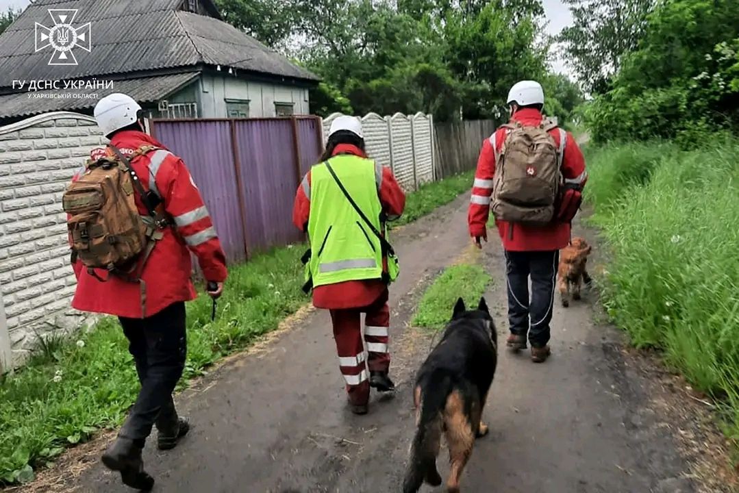 Поиск на местности