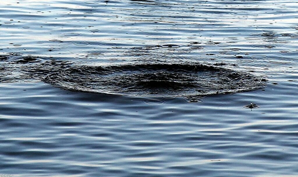 В пруду на Харьковщине, где погиб подросток, официально запрещено купаться