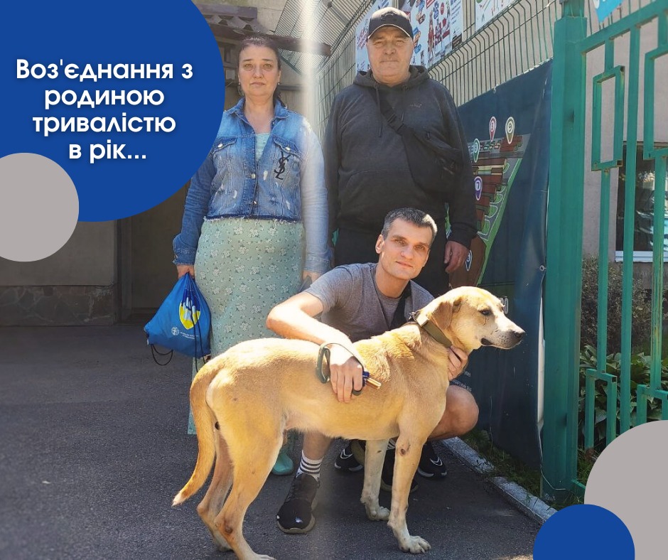 В Харькове спустя год поисков хозяева нашли собаку, сбежавшую от обстрелов