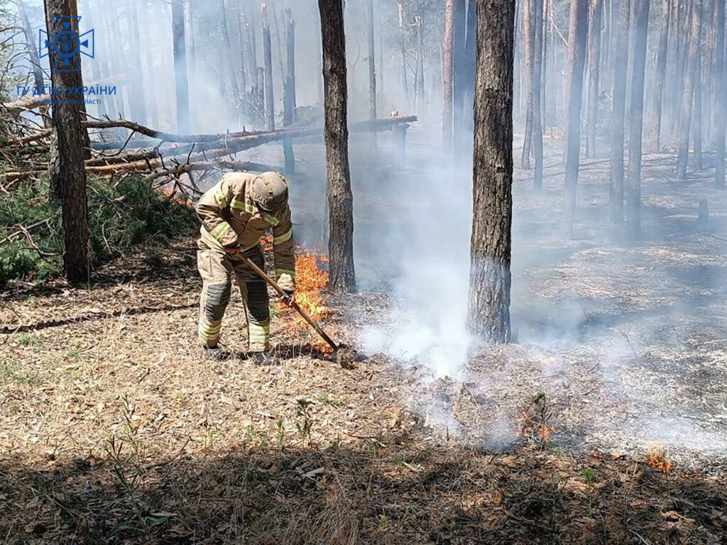 Росіяни обстрілами підпалили хвойні ліси на Харківщині (фото)
