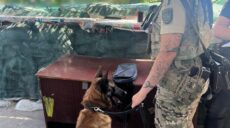 На Харківщині собаки прикордонслужби «винюхали» наркотики у трьох чоловіків