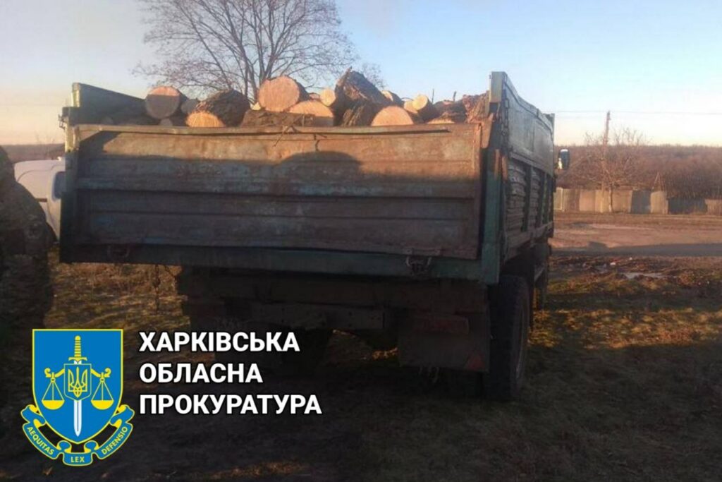 Нарубали дерев на 1,1 млн грн: на Харківщині піймали «чорних лісорубів»