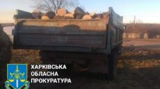 Нарубали дерев на 1,1 млн грн: на Харківщині піймали «чорних лісорубів»