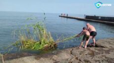 На 9-й день, як пляжі завалило сміттям, в Одесі заборонили купатися (відео)
