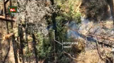 ВСУ ювелирно уничтожают россиян под Купянском и Лиманом — Сырский (видео)