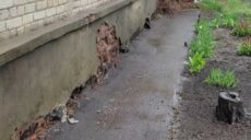 Майже мільйон гривень “розбазарили” на ремонті багатоповерхівки на Салтівці