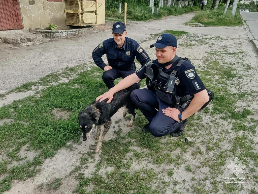 Харківські копи врятували песика, який опинився в пастці (фото)