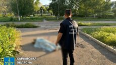 Ковшаровку, где двое погибших, обстреляли из артиллерии — прокуратура (фото)