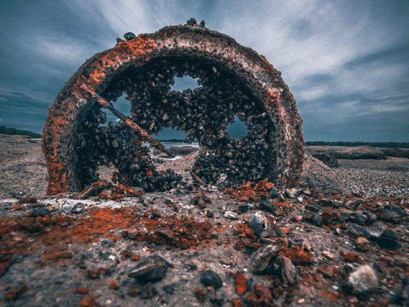 Каховське водосховище обміліло 12 червня 2023 2