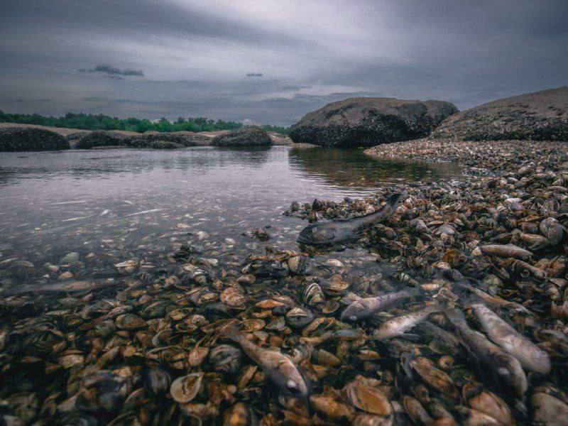 Каховське водосховище обміліло 12 червня 2023 3