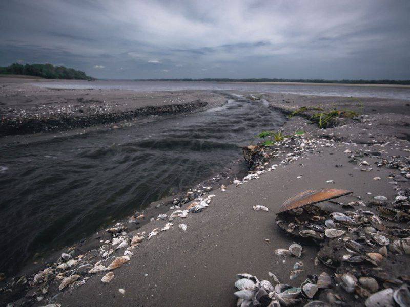 Каховское водохранилище обмелело 12 июня 2023 4